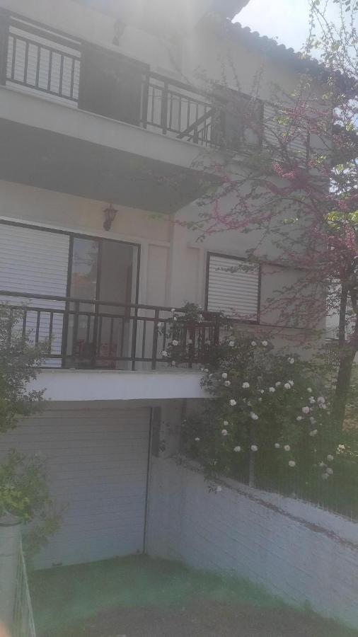 Iris Apartment Pefkochori Phòng bức ảnh
